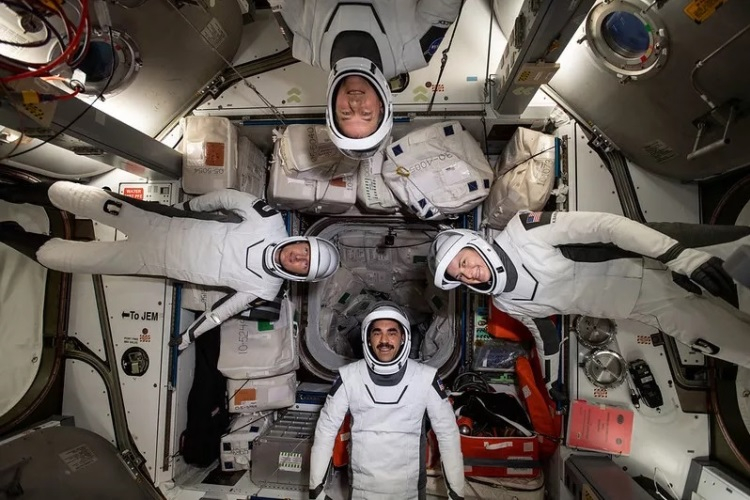  Экипаж миссии Crew-3 / Источник изображения: NASA 