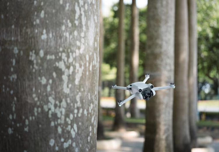 Источник изображения: DJI