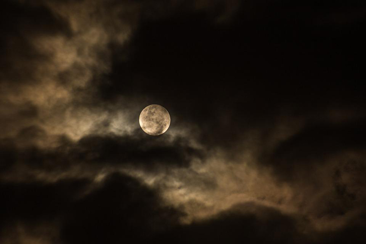 Источник изображения: pixabay.com / Pexels
