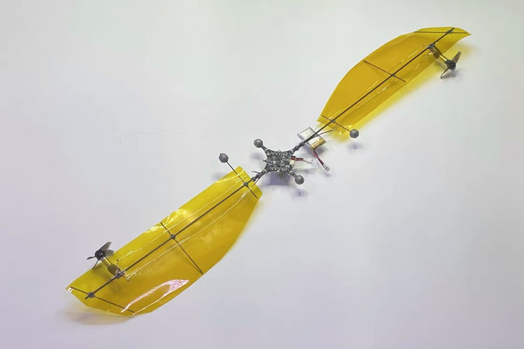Семена клёна помогли китайцам удвоить время полёта сверхлёгких дронов"