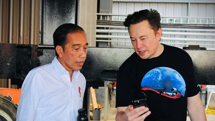 Elon Musk met with Indonesia's president to discuss cooperation on nickel mining and processing