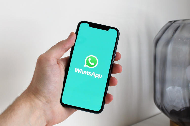 WhatsApp разрешил отключать звук у отдельных пользователей во время групповых звонков"