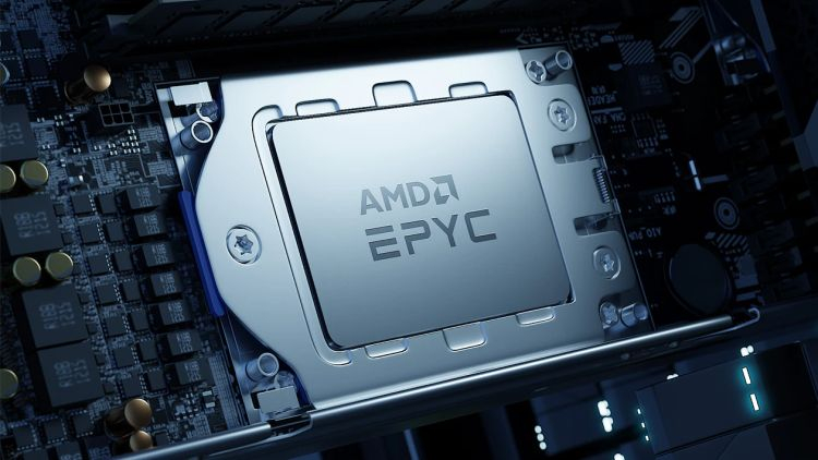 AMD is capable of capturing up to 40% of the server processor market, JPMorgan analysts believe