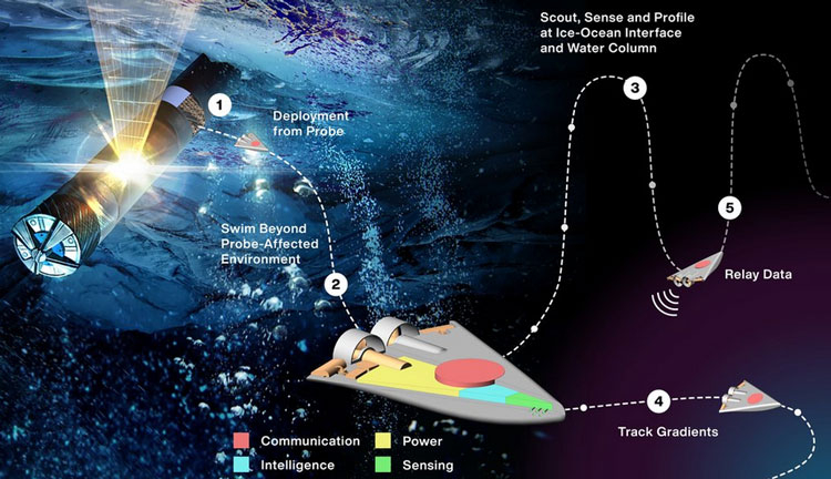  Источник изображения: NASA/JPL-Caltech 