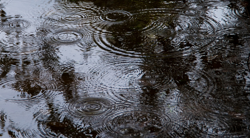  Обычную (не квантовую) интерференцию волн от множественных источников можно наблюдать в дождь в самой обычной луже (источник: Pixabay) 