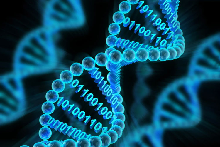 Seagate начнут работать с технологиями записи данных в ДНК