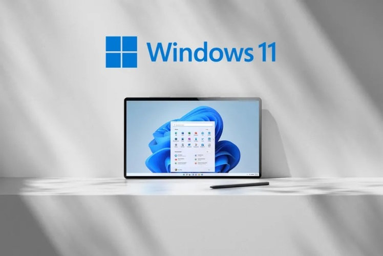 Microsoft      Windows 11     