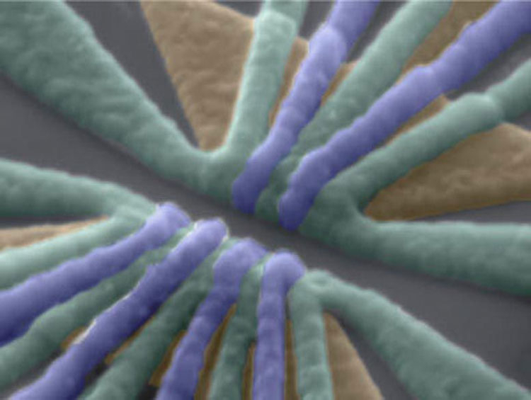 Volets en aluminium (magenta et vert) au microscope électronique. Source de l'image : RIKEN