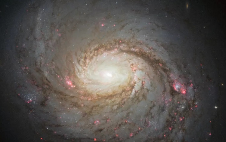  Галактика Messier 77 / Источник изображения: A. van der Hoeven / NASA / ESA 
