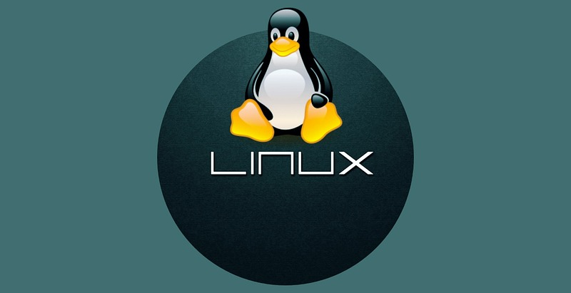  Всплеск атак на Linux может обернуться большими неприятностями как для рядовых пользователей, так и для бизнеса (источник изображения: Bülent Ergün / pixabay.com) 