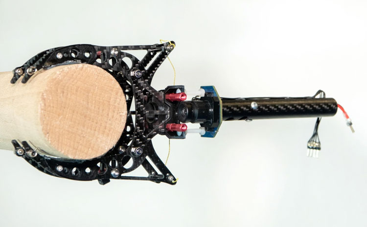 Разработана куриная ножка для посадки дронов на ветки и конструкции