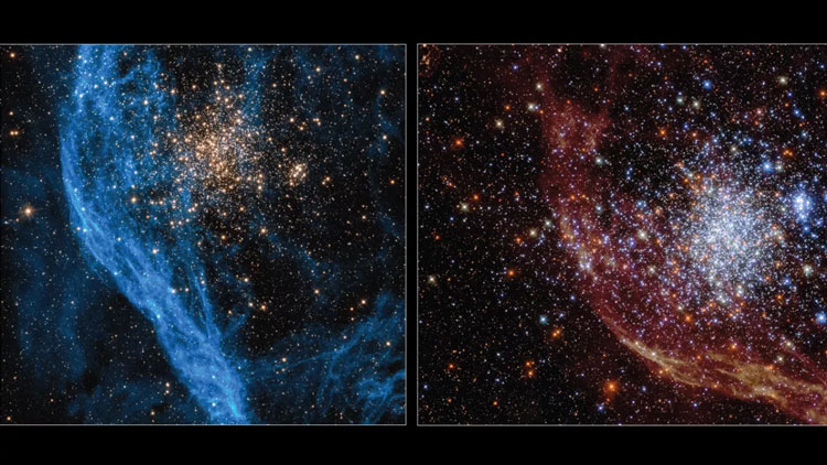 «Хаббл» показал два разных взгляда на одно уникальное звёздное скопление