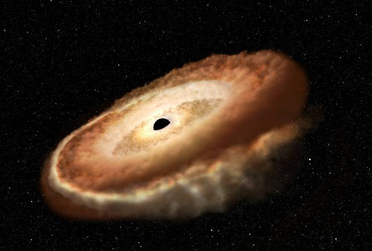 «Хаббл» запечатлел, как чёрная дыра превратила звезду в «космический пончик»