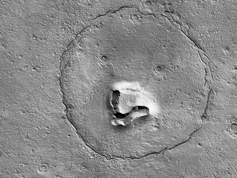 NASA нашло на поверхности Марса морду медведя