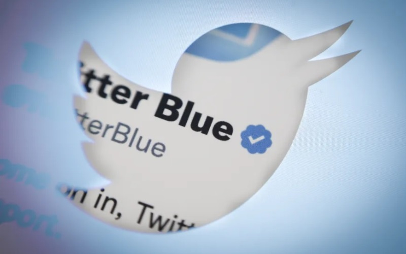 Платную подписку Twitter Blue в США в прошлом месяце оформили всего 180 тыс. человек — 0,2 % аудитории соцсети