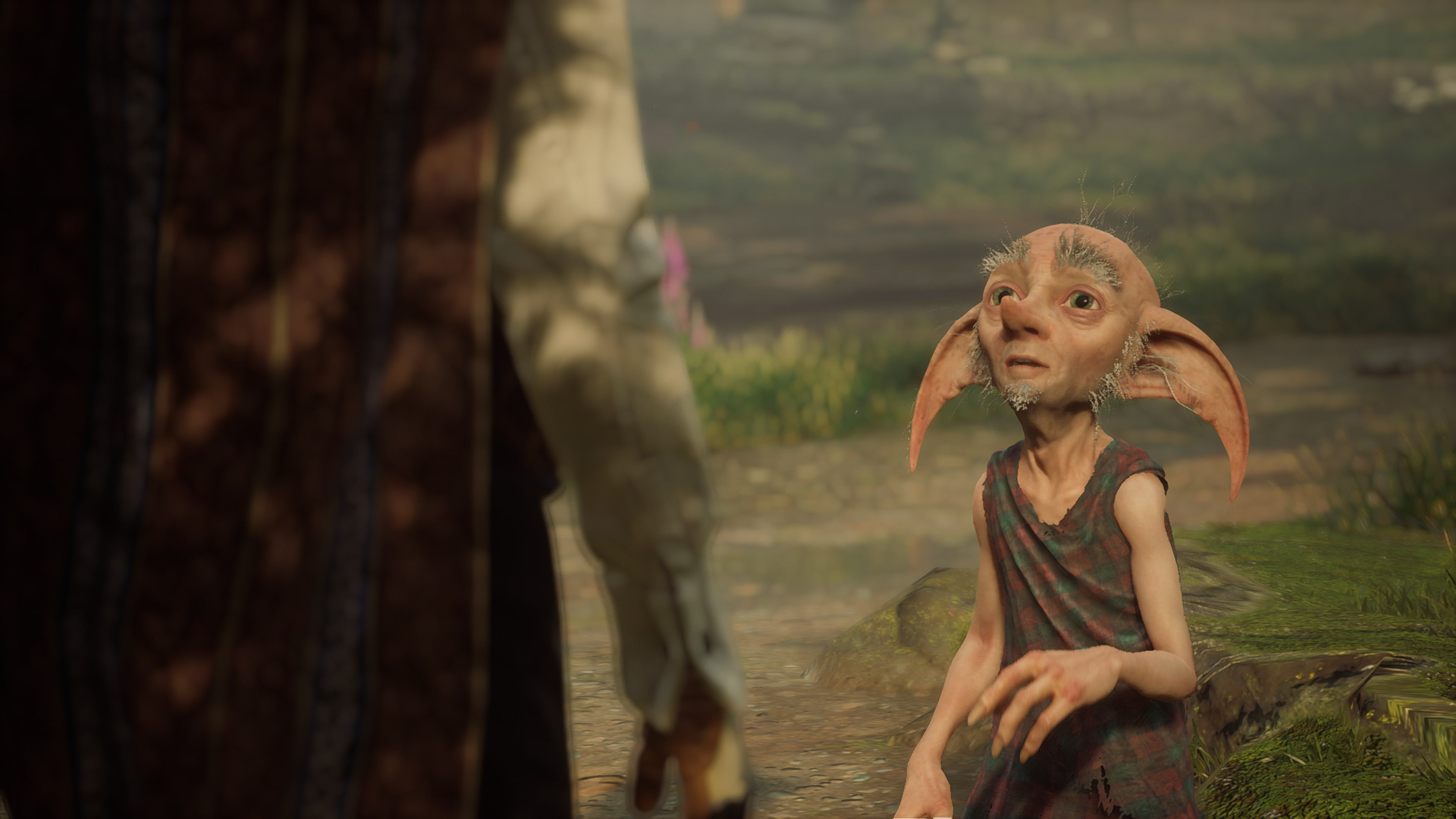 Hogwarts legacy dobby