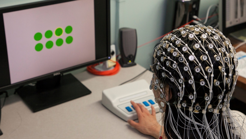  Плотная шапочка с фиксирующими изменения электрического поля датчиками — классический инструмент работы нейрофизиологов (источник: Washington State University) 