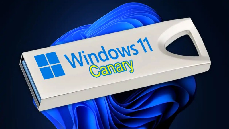 Microsoft       Windows 11