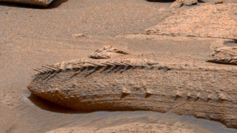Ровер Curiosity прислал фото окаменелого дракона с Марса — NASA нашло куда более скучное объяснение