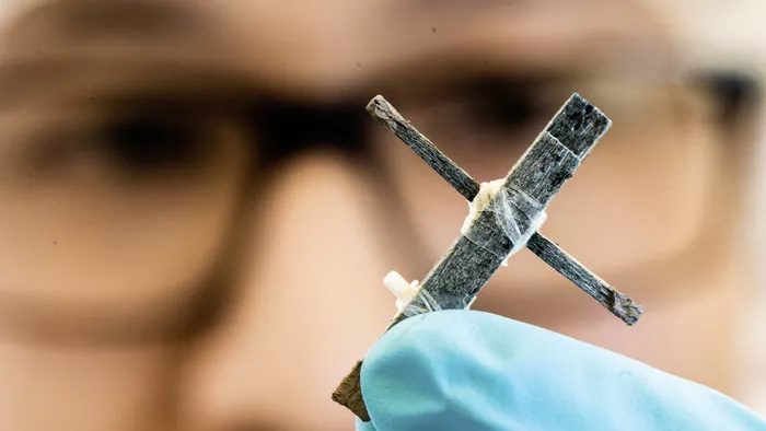 Учёные связали три палочки и получили первый в мире деревянный транзистор  он работает с частотой около 1 Гц