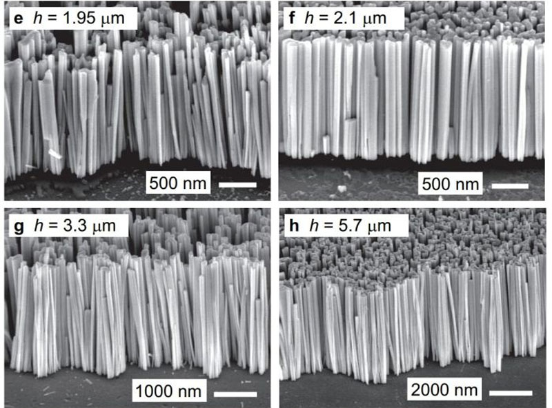  Наностолбцы на кремнии под электронным микроскопом. Источник изображения: Advanced Materials 
