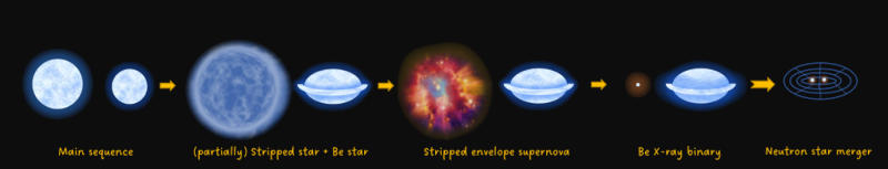  Эволюция двойных систем с обнажёнными звёздами 