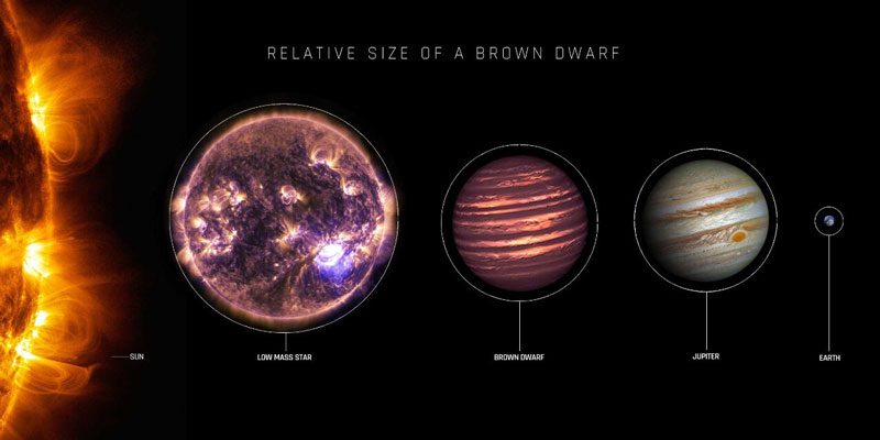  Отнгосительные размеры типичного коричневого карлика в сравнении с Солнцем, Юпитером, землёй и самой маленькой обычной звездой. Источник изображения: University of Sydney 