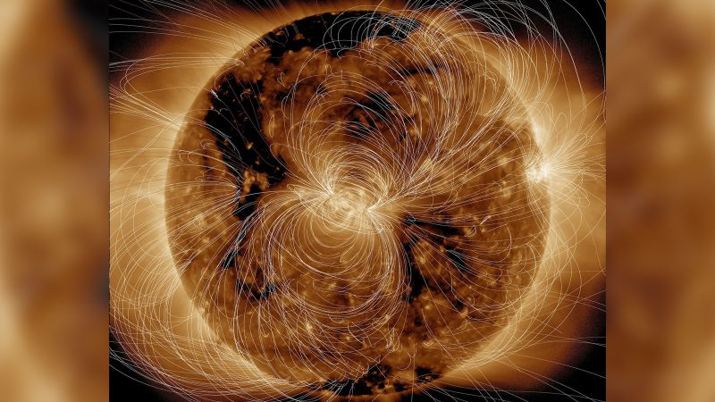  Учёные использовали компьютерные модели и данные Обсерватории солнечной динамики NASA (SDO), чтобы создать вид сложного магнитного поля Солнца 10 августа 2018 года. Источник изображения: NASA / GSFC / SDO 