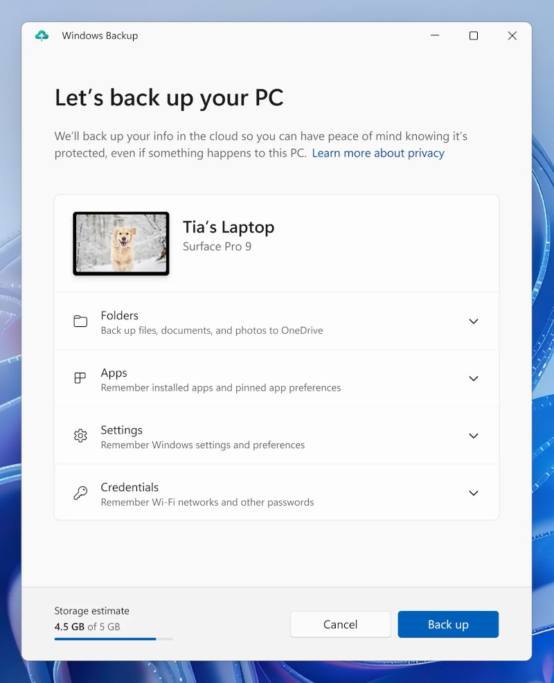  Так выглядит приложение Windows Backup. Источник изображения: Microsoft 