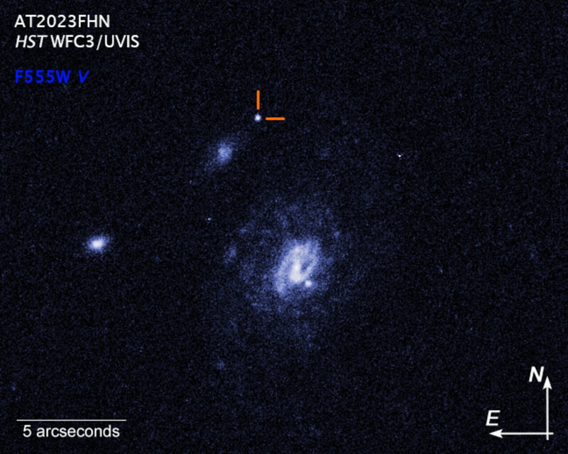  На изображении «Щегол» отмечен указателями. Он интенсивно светится голубым светом и быстро эволюционирует, достигая пика яркости и угасая за считанные дни (источник изображения: Ashley Chrimes / NASA, ESA, STScI) 