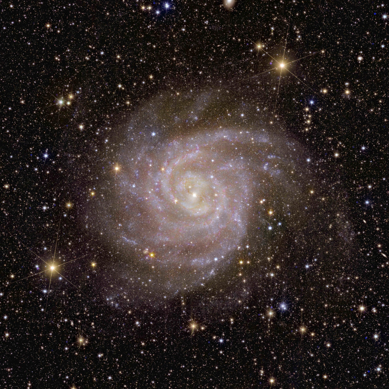  Спиральная галактика IC 342 