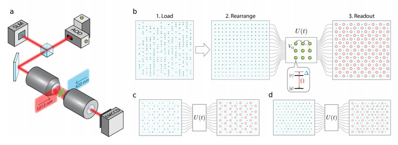  схема получения двумерных матриц из нейтральных атомов, (b)-(d) получение структур с разным расположение возбужденных атомовИсточник изображения: 