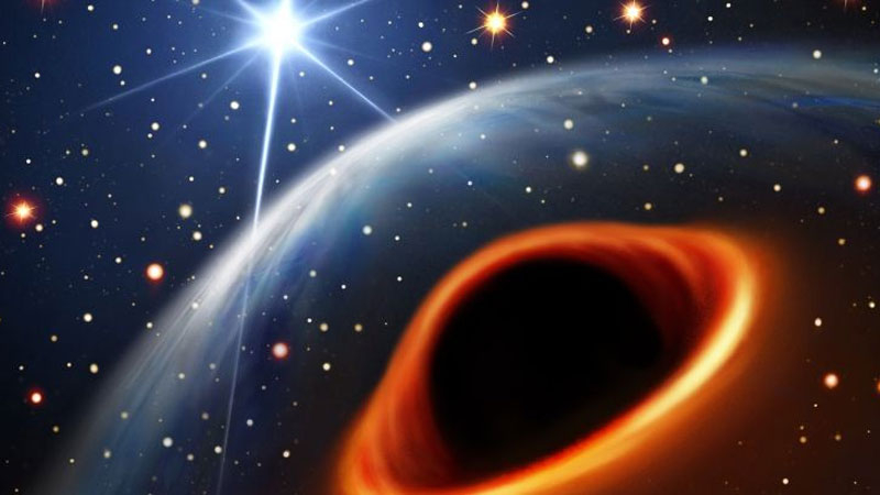  Двойная система из пульсара и чёрной дыры в представлении художника. Источник изображения: Daniëlle Futselaar 