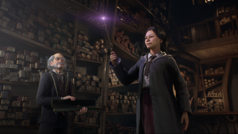  Успех вроде Hogwarts Legacy в сфере AAA-игр не гарантирован, считают в Warner Bros. 