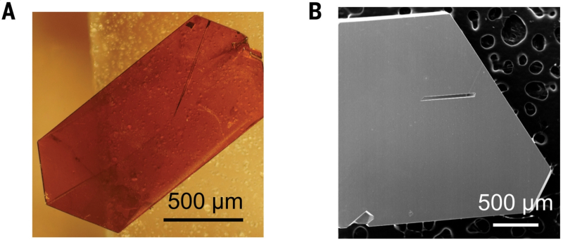  Выращенный в лаборатории кристаллик кубического арсенида бора в лучах видимого света (A) и под сканирующим электронным микроскопом (B), длина масштабной линейки — 500 мкм (источник: Science) 