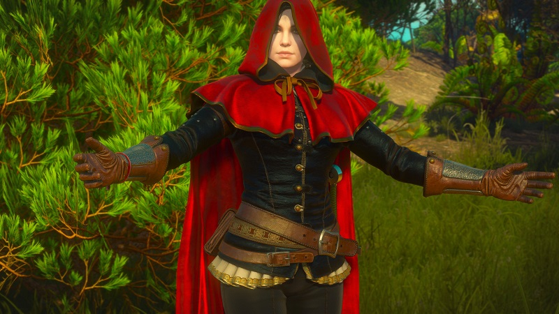 Разработчик The Witcher 3: Wild Hunt выпустил для игры мод с альтернативной версией самого красочного квеста из аддона «Кровь и вино»