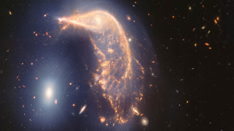  Комбинированный снимок галактик Arp 142. Источник изображения: NASA; ESA; CSA; STScI 