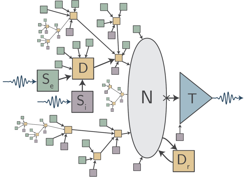  Схема т. н. петлевого нейрона (loop neuron), предложенного для реализации в оптоэлектронных нейросетях — более приближенного к биологическому прототипу, чем классический перцептрон: N — тело нейрона, D — дендриты, Se и Si — соответственно возбуждающие (excitatory) и тормозящие (inhibitory) синапсы, T — трансмиттер (источник: NIST) 