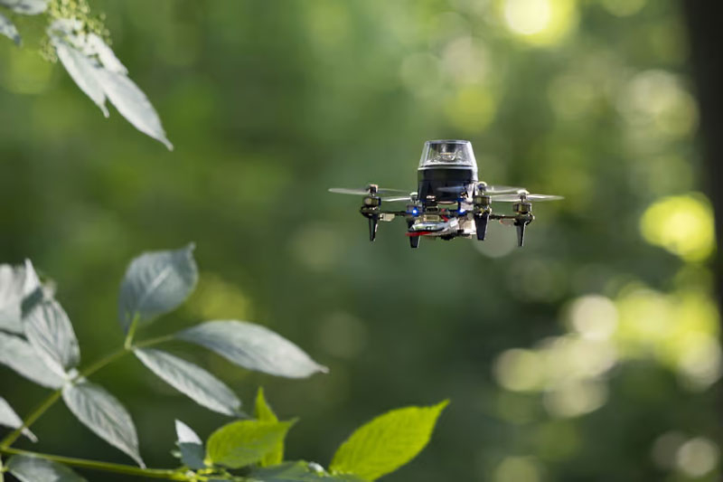 Муравьи и пчёлы научили крошечные дроны возвращаться ориентироваться без GPS, маяков и лидаров