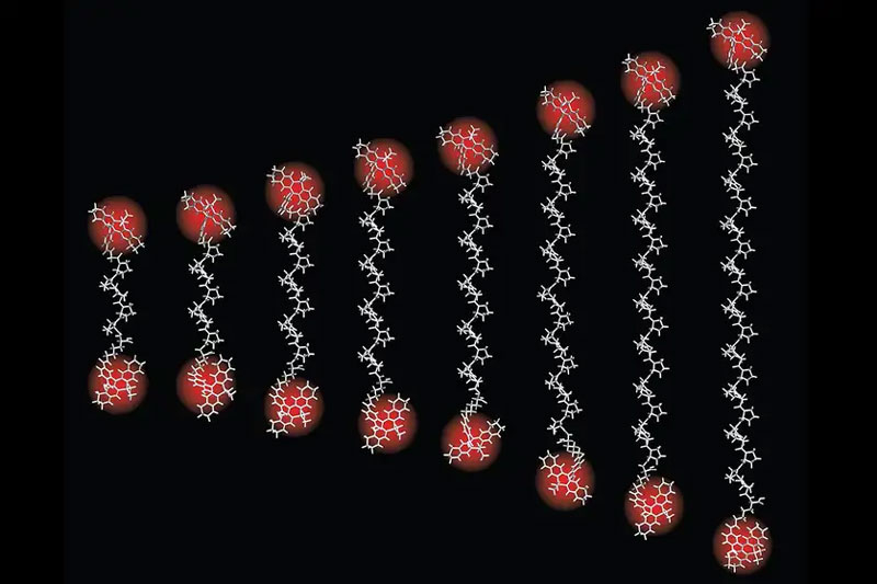  Источник изображения: Steffen J. Sahl / Max Planck Institute for Multidisciplinary Sciences 