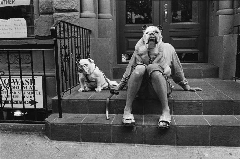  Источник изображения: Elliot Erwitt / Magnum Photos / Leica 