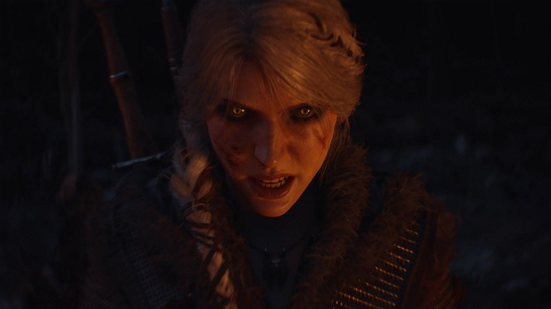  Источник изображений: CD Projekt Red 