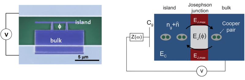  Слева: поперечное сечение зарядового кубита; показаны массивный сверхпроводник — резервуар куперовских пар (bulk) и загончик, он же островок (island); длина масштабного отрезка — 5 мкм. Справа — электрическая схема работы джозефсоновсокго перехода; сравнительные размеры резервуара, загончика и куперовских пар не согласованны (источник: ETH) 