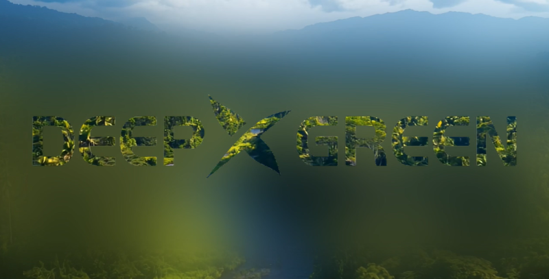  Источник изображения: DeepGreenX 