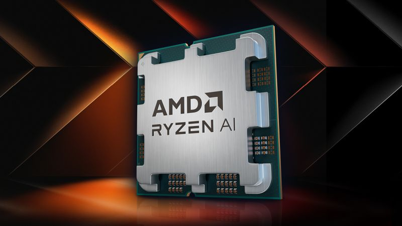 Intel  : Dell         AMD