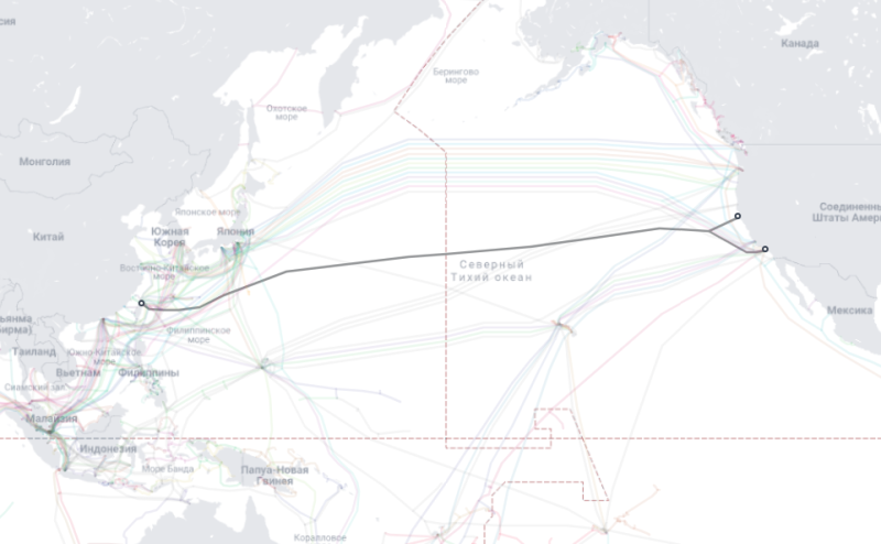  Источник изображения: TeleGeography 