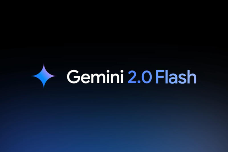 Google   Gemini Flash 2.0   