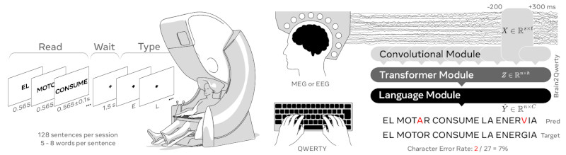  Эксперимент с 35 участниками использовал EEG/MEG и модель Brain2Qwerty для декодирования текста из мозговых сигналов человека 