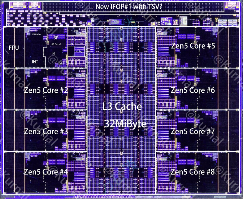  Блок CCD AMD Strix Halo 