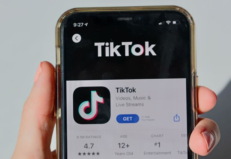 - Perplexity   TikTok,        